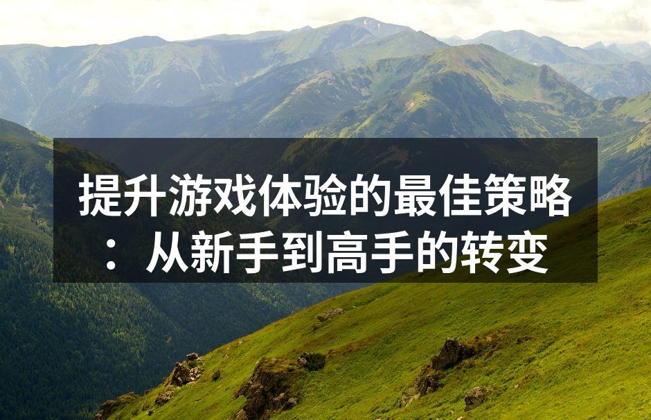提升游戏体验的最佳策略：从新手到高手的转